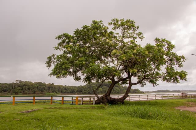 Orla da Cidade de Pracuúba