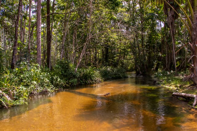 Balneário Tio João