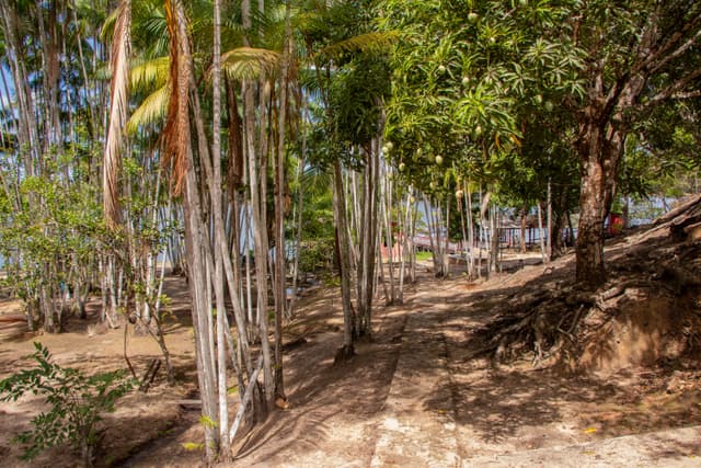 Balneário Recanto do Cupu