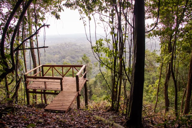 Parque Nacional Montanhas do Tumucumaque