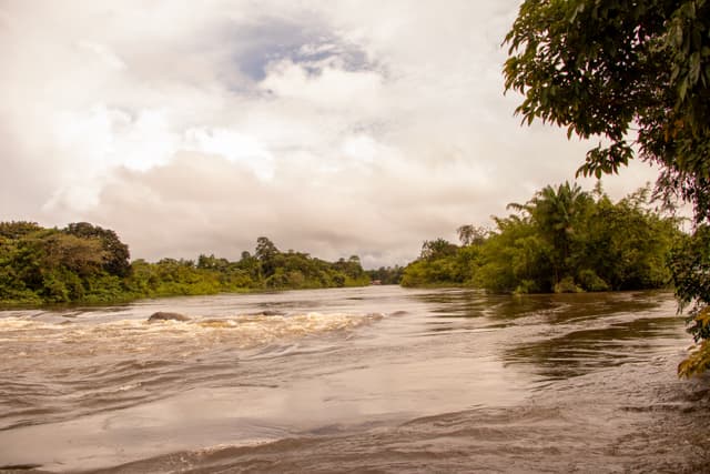 Cachoeira do Firmino