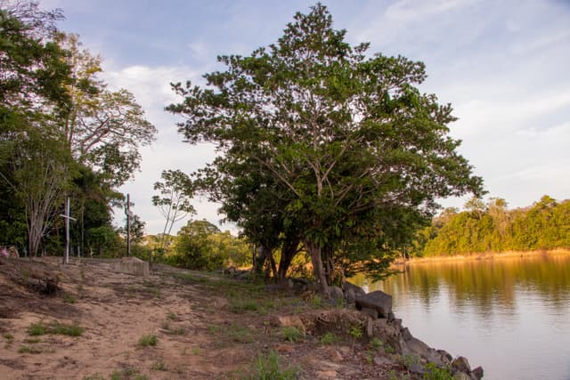 Cemitério onde foi enterrado um alemão com o símbolo da suástica