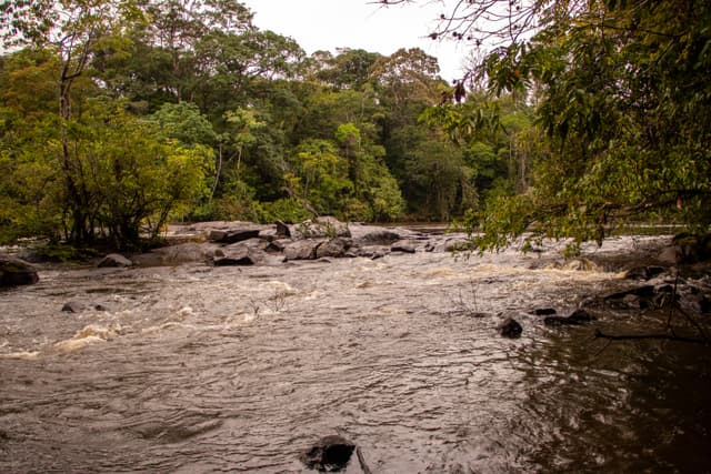 Parque Nacional Montanhas do Tumucumaque