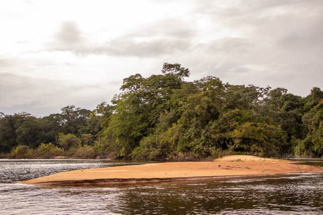 Floresta Nacional do Amapá - Flona Trajeto até a Base do IMCBio