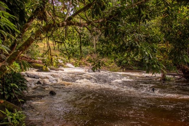 Corredeira da Fumaça