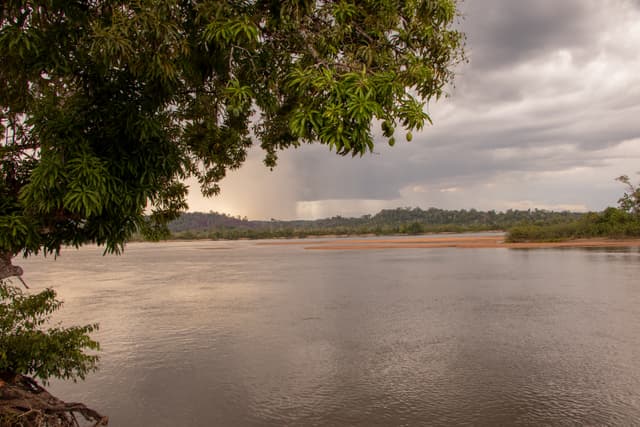 Praia da Samaúma