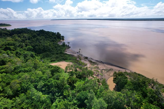 Ilha de Santana (Trilha das Samaumas)