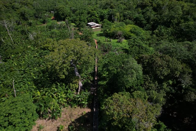 Ilha de Santana (Trilha das Samaumas)