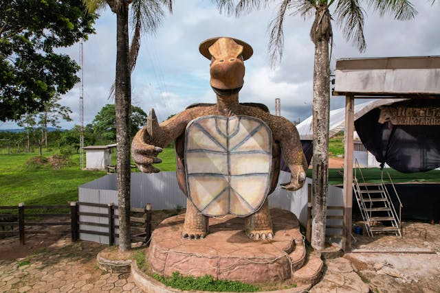 Tartaruga Entrada da Cidade