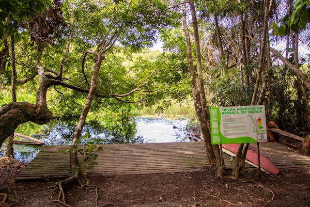 Bioparque da Amazônia