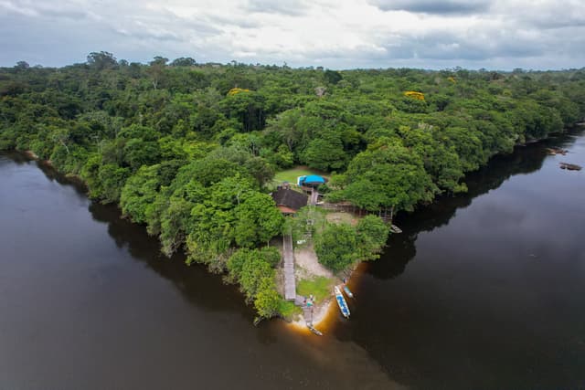 Floresta Nacional do Amapá - Flona Trajeto até a Base do IMCBio