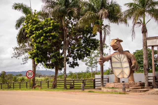 Tartaruga Entrada da Cidade