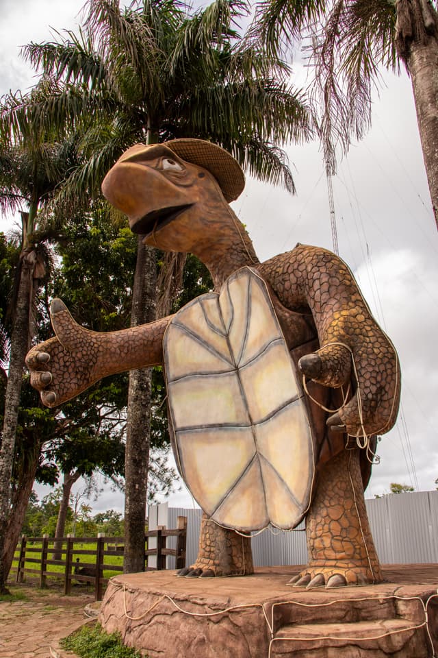 Tartaruga Entrada da Cidade