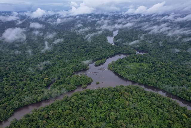 Parque Nacional Montanhas do Tumucumaque