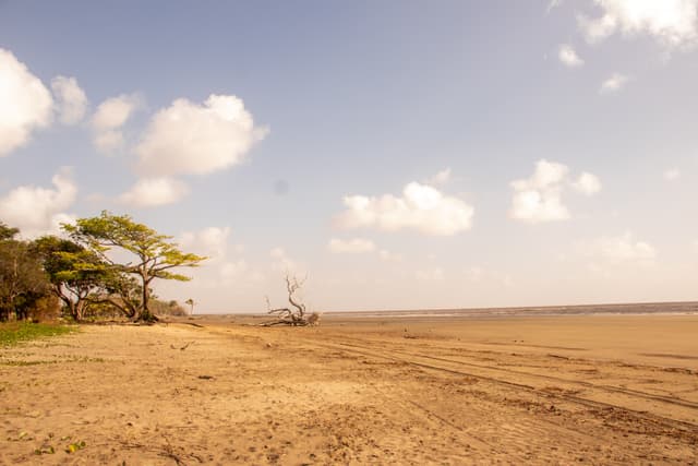 Praia do Goiabal