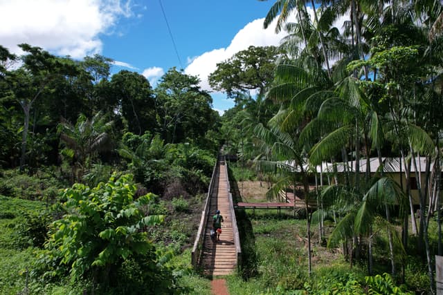 Ilha de Santana (Trilha das Samaumas)
