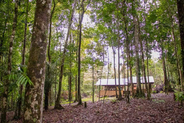 Parque Nacional Montanhas do Tumucumaque