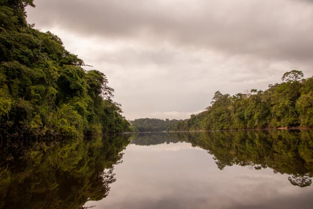 Floresta Nacional do Amapá - Flona Trajeto até a Base do IMCBio