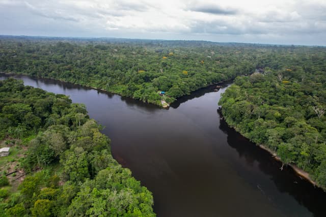 Floresta Nacional do Amapá - Flona Trajeto até a Base do IMCBio