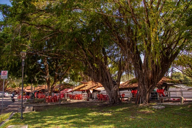 Praça do Coco