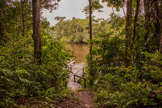 Parque Nacional Montanhas do Tumucumaque