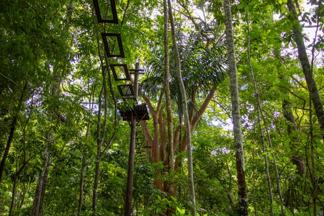 Bioparque da Amazônia